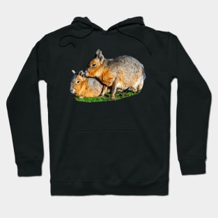 Mara Cuddles Hoodie